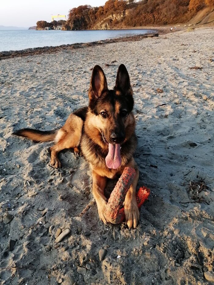   ,     ,    -  ,     ,   ))