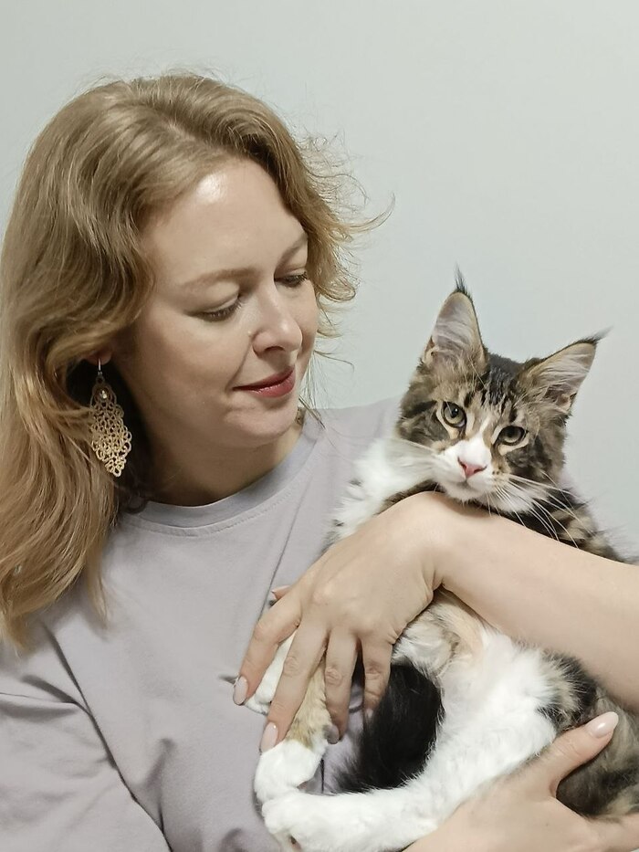 Фото с котиком для привлечения внимания