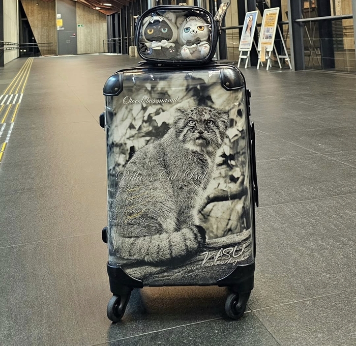 Вот такой чемодан с Болушкой