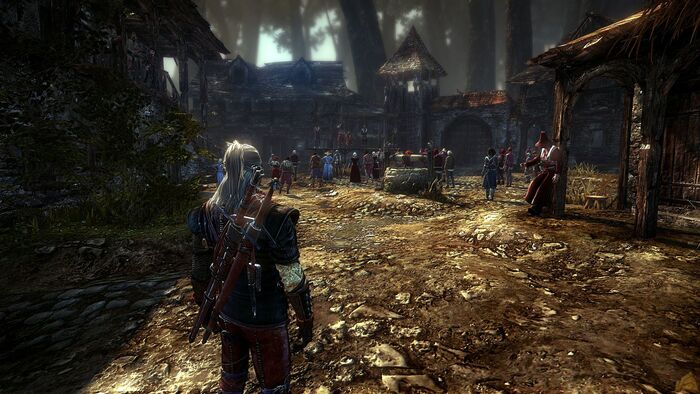      The Witcher 2: Assassins of Kings?