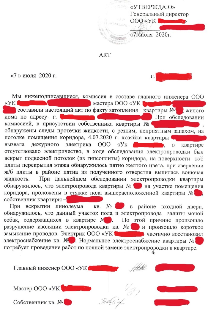 Как собачки в туалет сходили на 180000 рублей