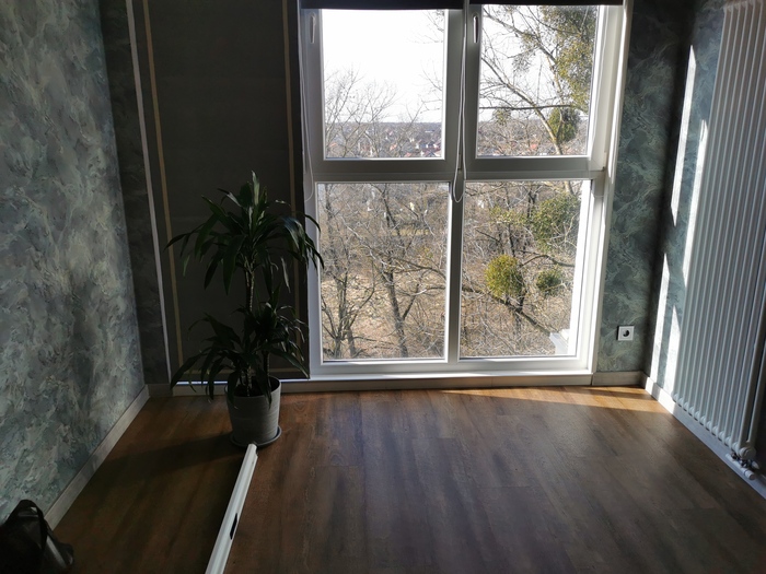 Комната №2. Остекление на 3 секции. Слева за растением не стена, а ролл-штора.