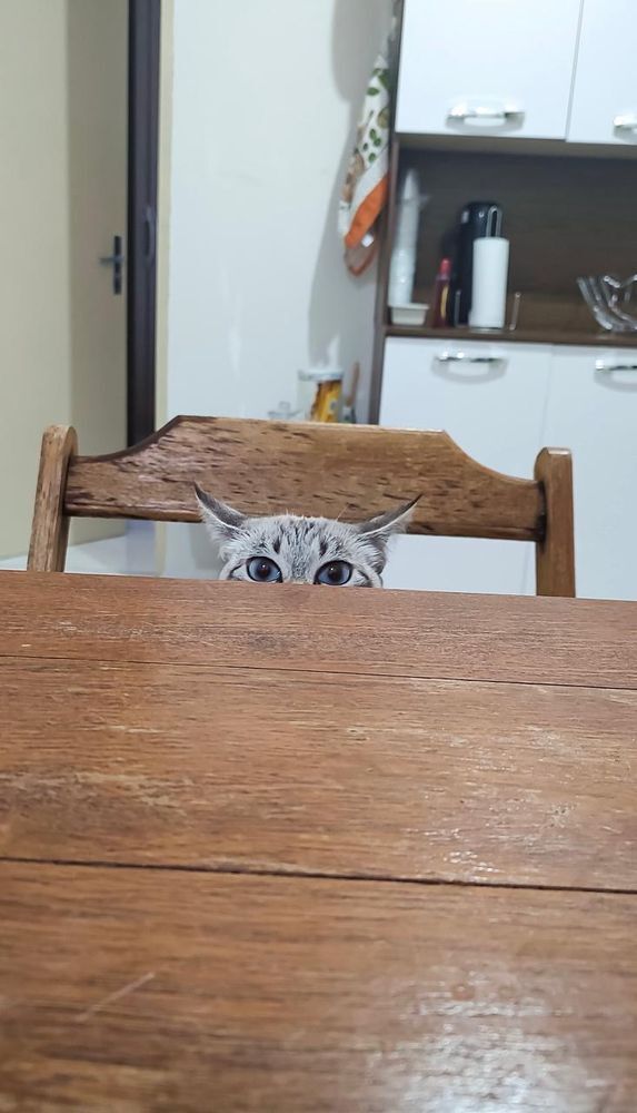 Воли моей супротив, эти глаза напротив