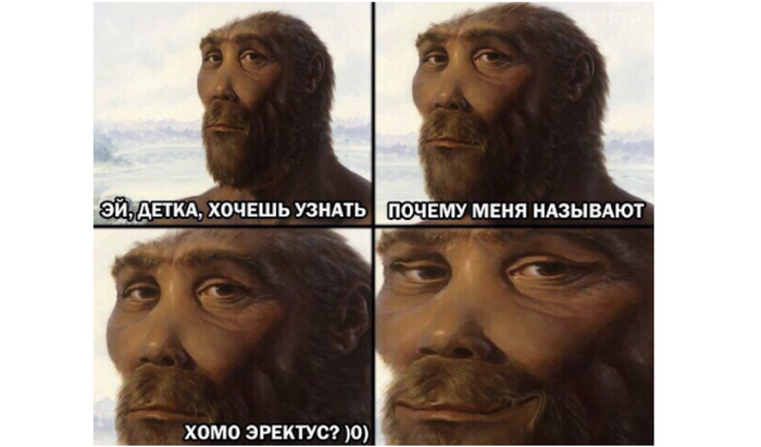 Homo Erectus