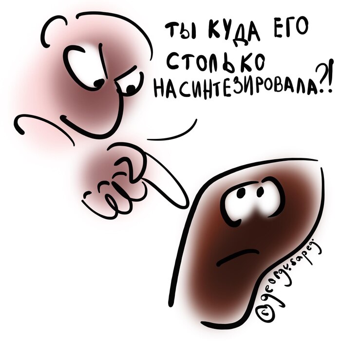 Иллюстрация к моей статье "Как урсодезоксихолевая кислота влияет на холестерин в крови"