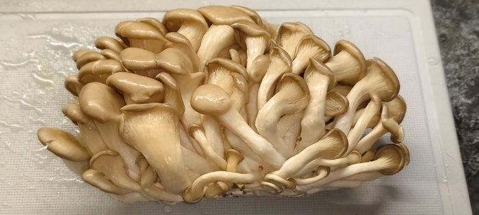 Вешенки промываю