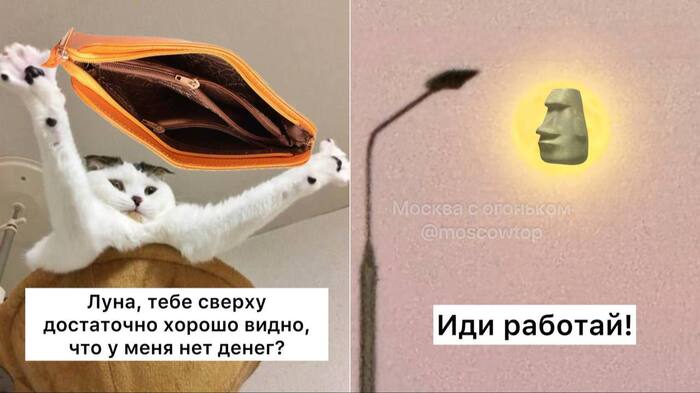 P. S. Фото не мое, взято с интернета.