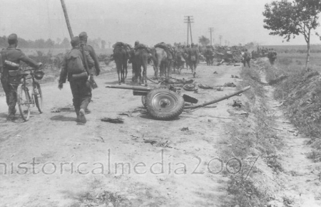       ,     -      .         .