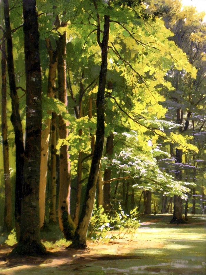 "   " 1880-   , . 40,6 &#xD7; 30,5  