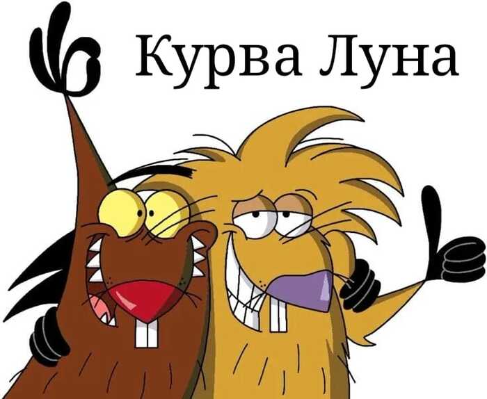 Ответ на пост «Без пяти минут Бобровая Луна»