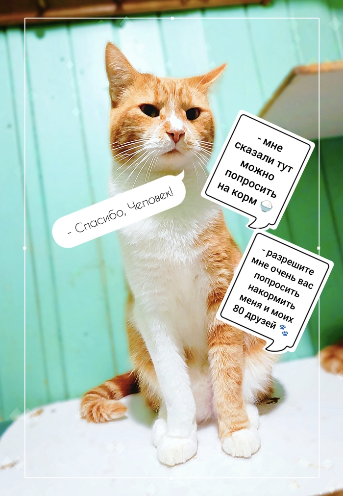 Помощь на корм