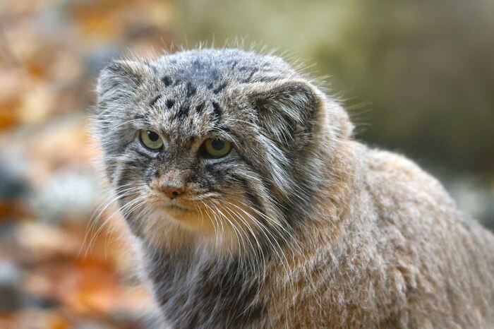 Ну, и кто ты после этого?