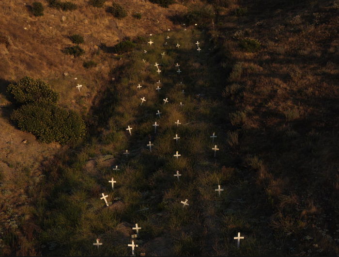   ,    ,     ,     ,   .