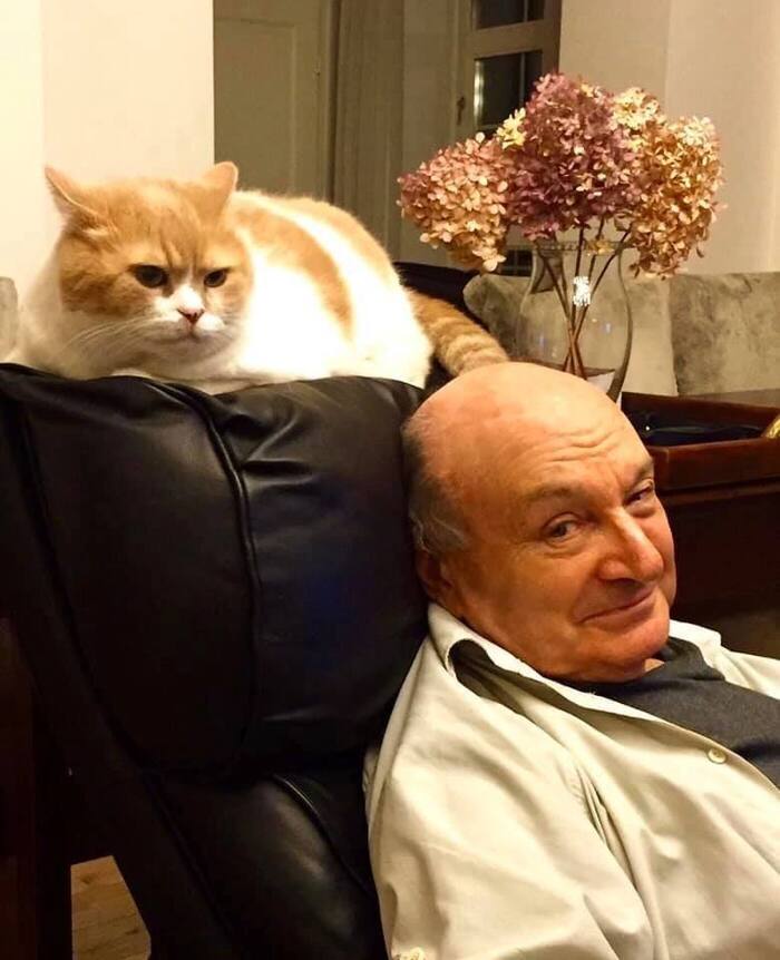 «Мы так любим собак, котов, потому что им всё равно, кто ты: молод, стар, образован, успешен