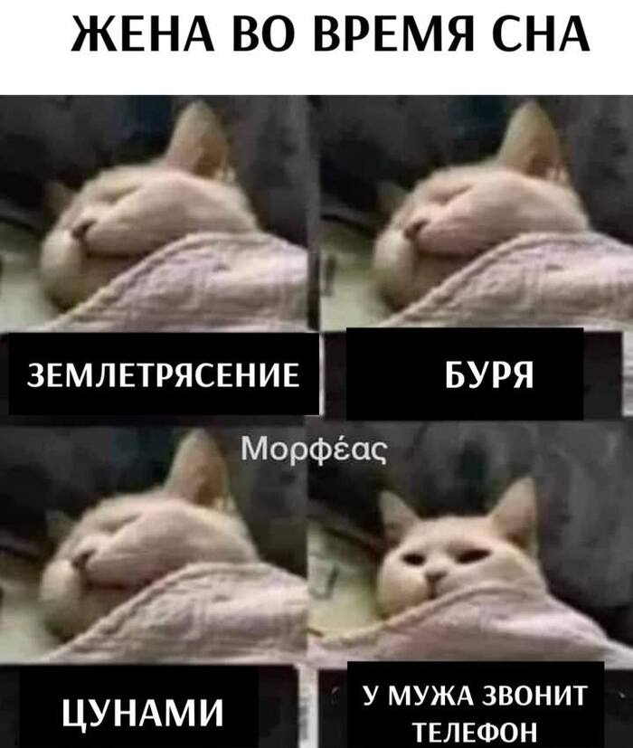 Опять прости господи звонят...