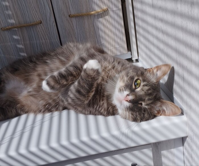 Отдыхай на радуге