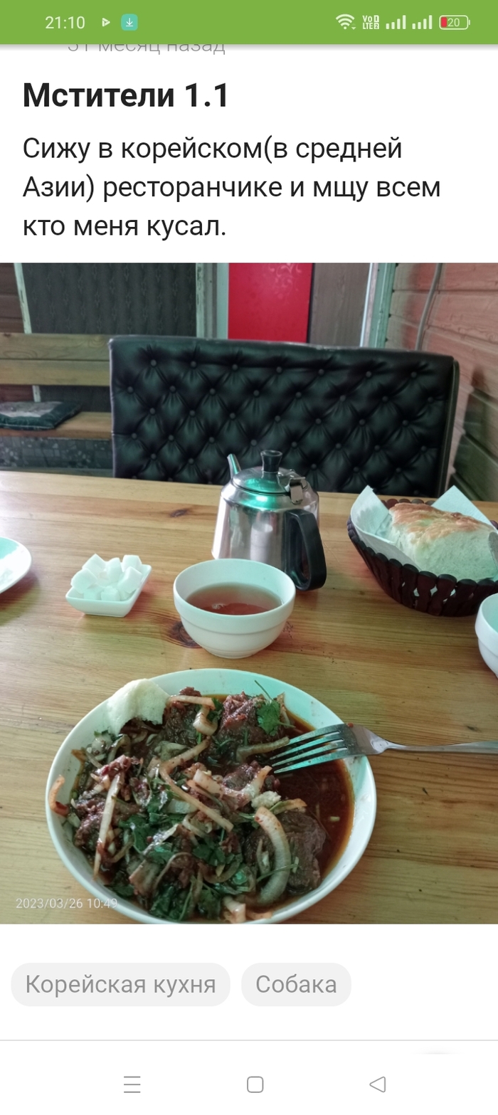 Самые безопасные и безобидные собаки