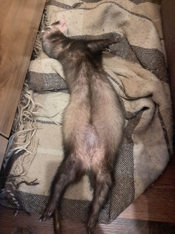   &#x1F634;&#x1F634;&#x1F634;