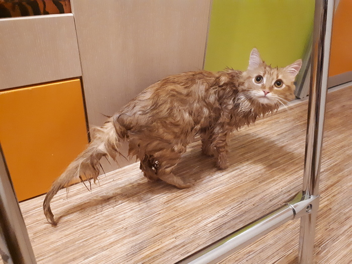 Конец дружбе и доверию