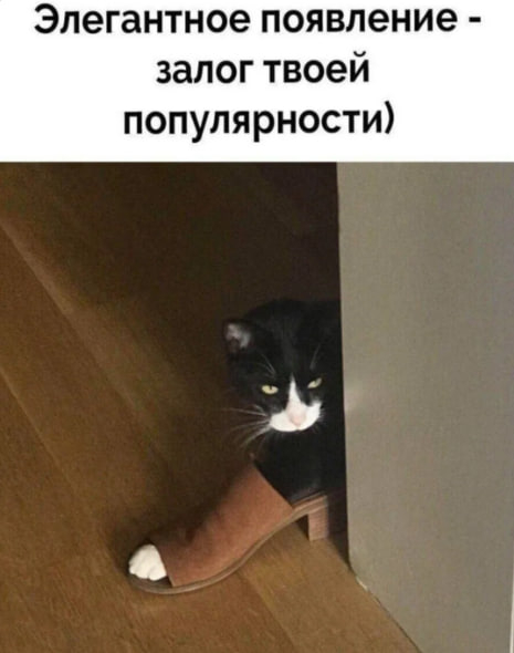 Так тебя точно запомнят!