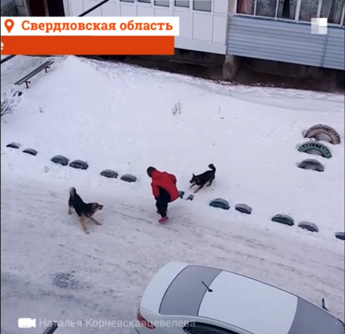 <!--noindex--><a href="https://pikabu.ru/story/otvet_na_post_novosibirskie_zoozashchitniki_vyishli_na_odinochnyie_piketyi_protiv_zakona_o_umershchvlenii_agressivnyikh_sobak_13379440?u=https%3A%2F%2Fwww.e1.ru%2Ftext%2Fincidents%2F2021%2F02%2F21%2F69778862%2F&t=https%3A%2F%2Fwww.e1.ru%2Ftext%2Fincidents%2F2021%2F02%2F21%2F69778862%2F&h=c991e8645d7266d2a2e3281dad4f461b2c364040" title="https://www.e1.ru/text/incidents/2021/02/21/69778862/" target="_blank" rel="nofollow noopener">https://www.e1.ru/text/incidents/2021/02/21/69778862/</a><!--/noindex-->