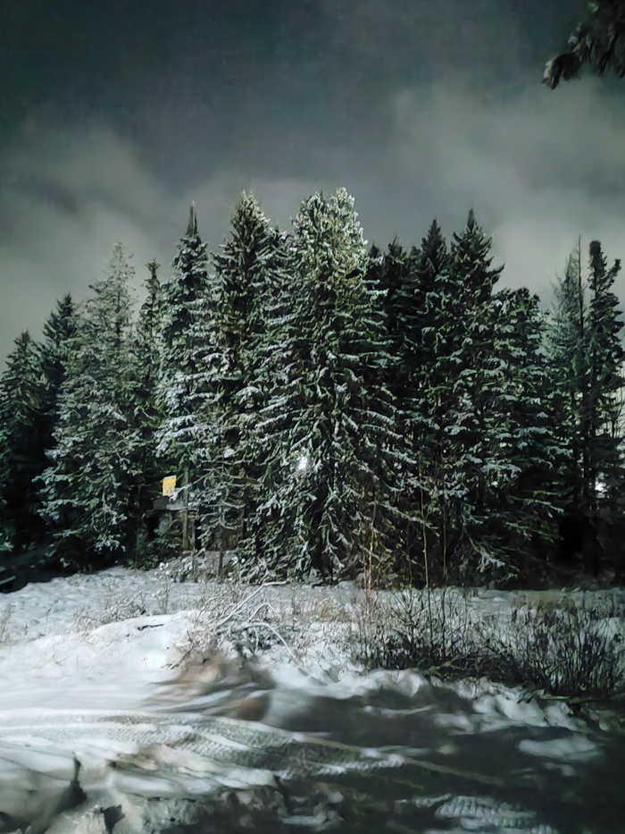 Сказочная тайга