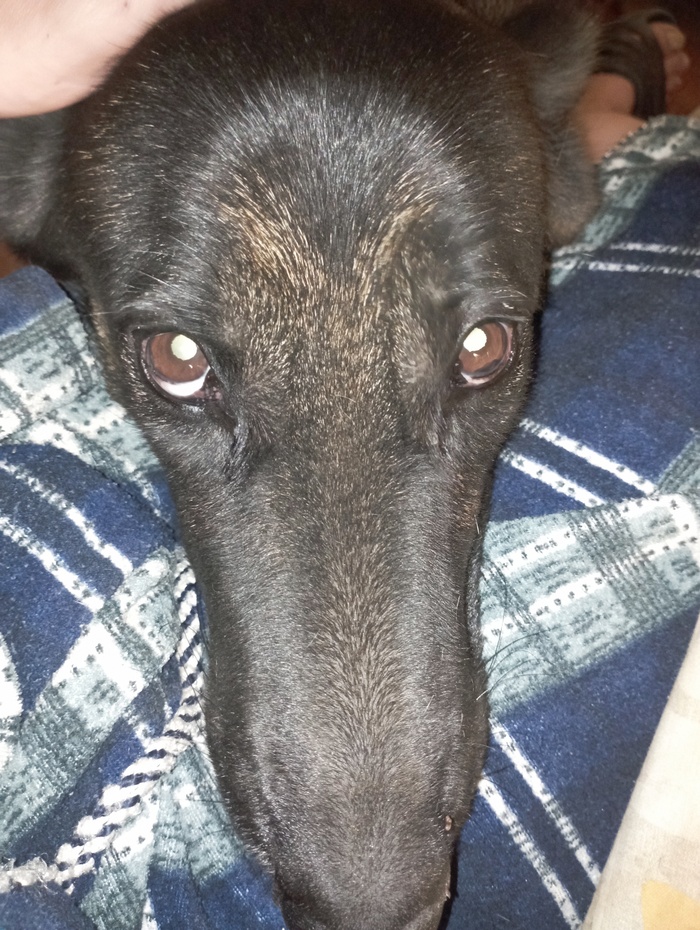 ����� �� ���� ������� ������ �������!�