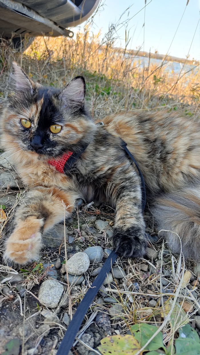 ����� Mishanya81 � ������� ������ �������!�