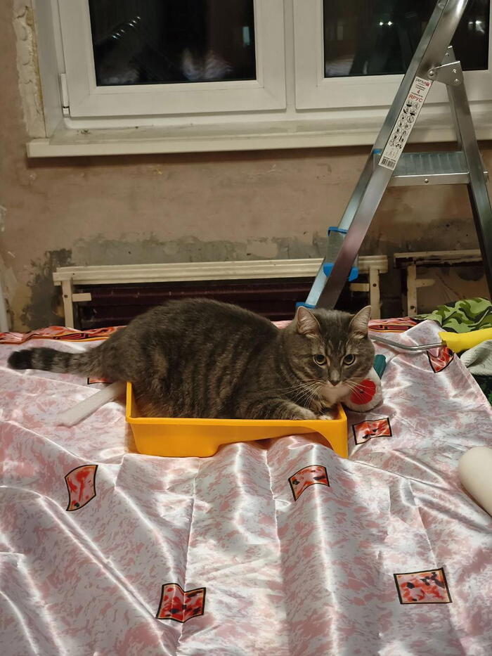 Потому что удобно!