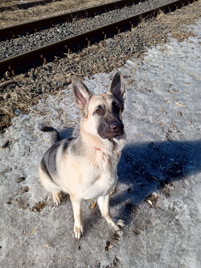 ��������� ����