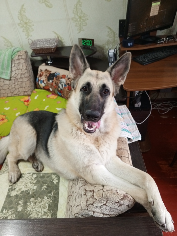 ������� � ��������