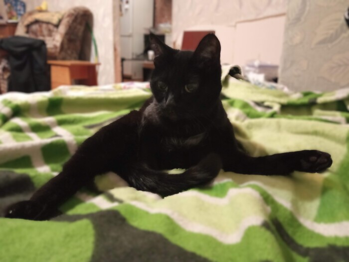 Хлебом не корми - дай раскорячиться :D