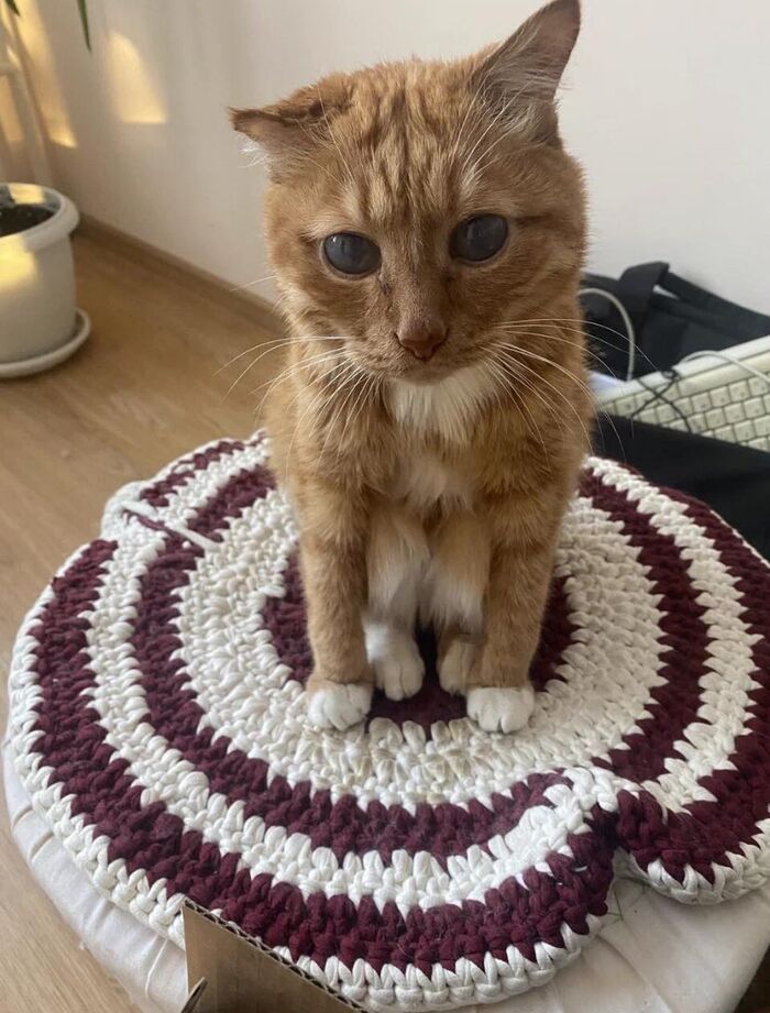 Сёма, в прошлом году ушел на радугу, в 22 года