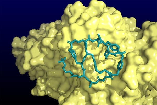 A computer image of the x-ray crystallography structure of enlicitide, which blocks the liver PCSK9....Merck