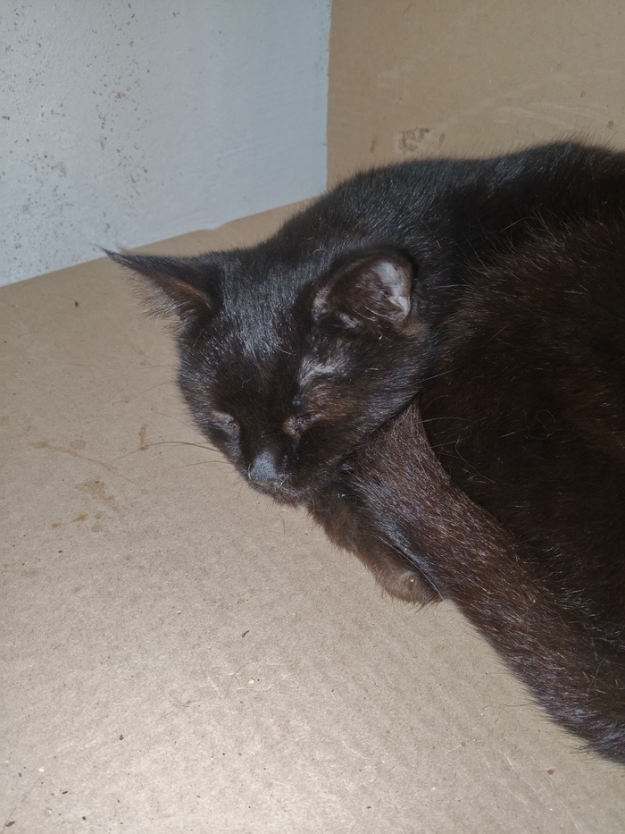 ���� ����