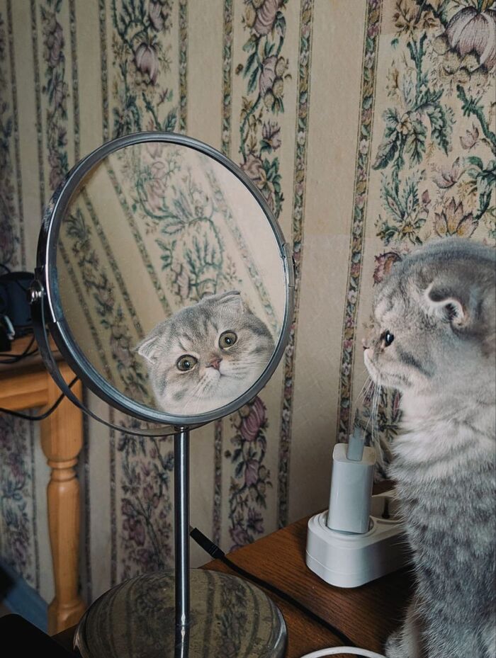 Я красотка!