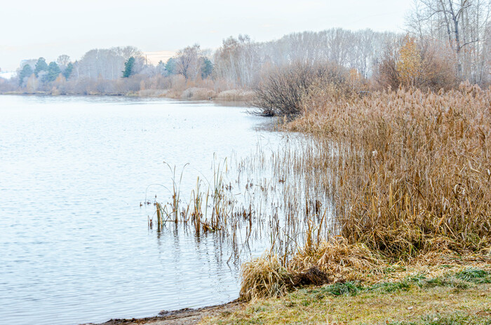 Кемерово, оз. Красное