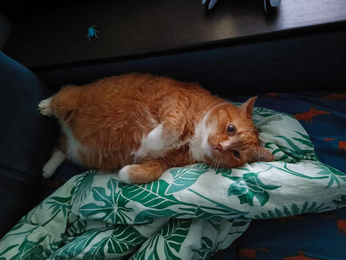 Little Bit News |         ,         