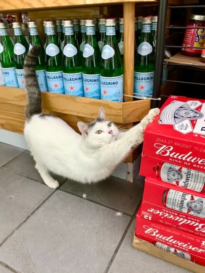 Прогнулась под изменчивый мир