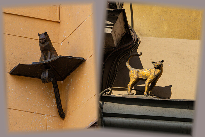     -,  1943     4  !     ,    .