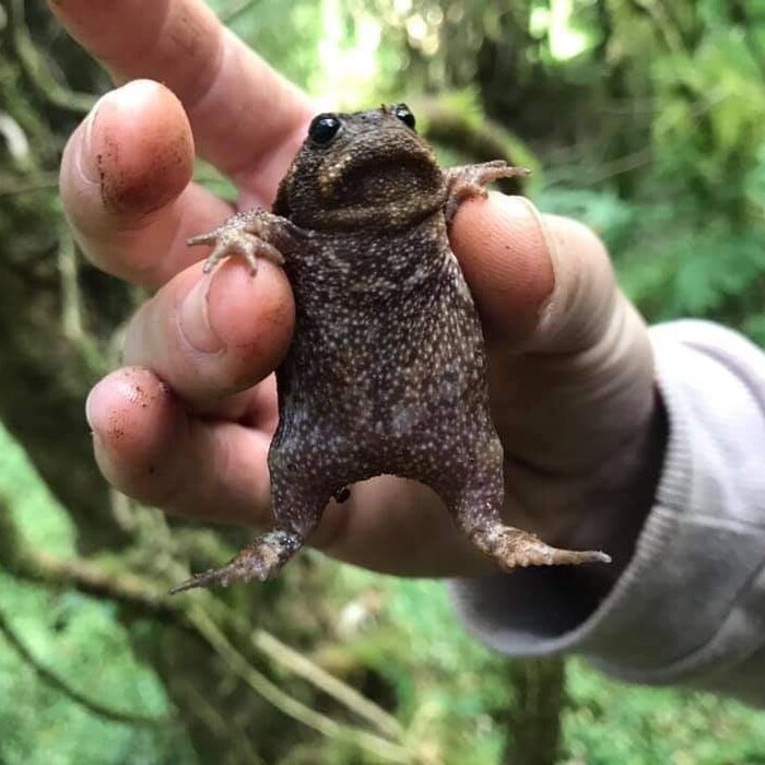 Не лапай меня грязными руками!