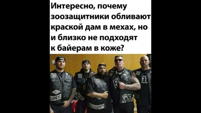 Может потому что у них кожзам и латекс?