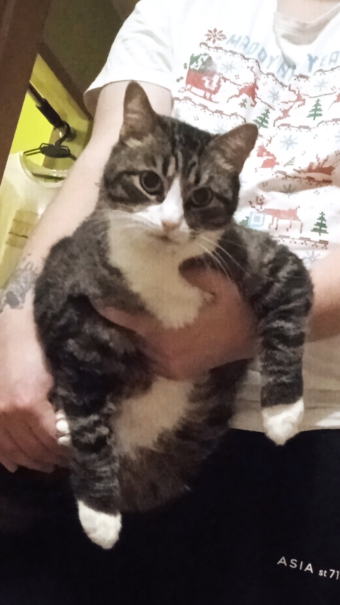 И что ты мне сделаешь?