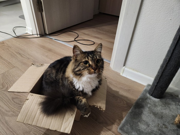 Ежедневный Рислинг #108