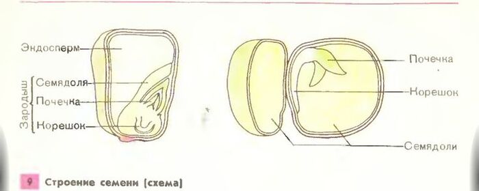 ну да, это редис. а что вы мне сделаете?