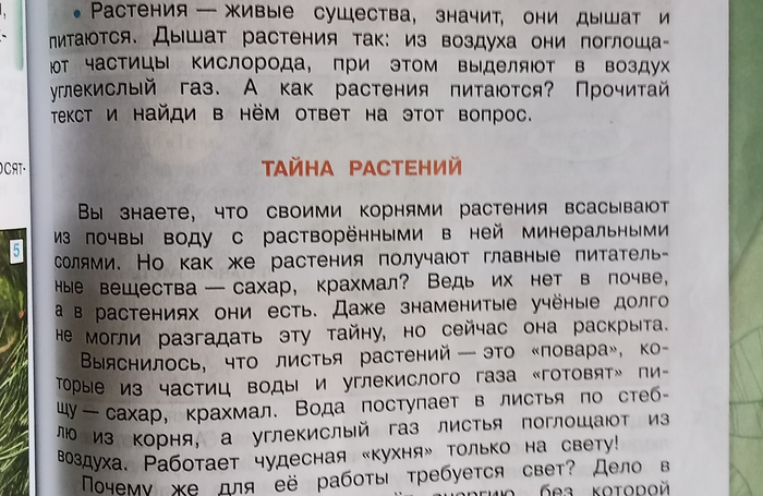 Занимательная ботаника