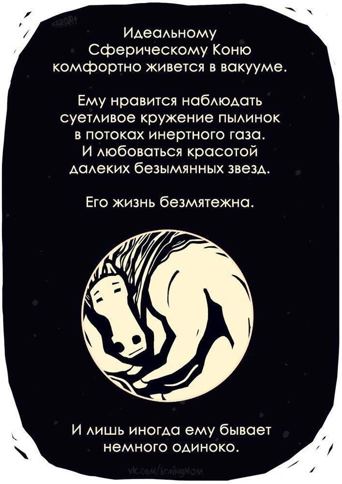 «Сферический конь в вакууме» — выражение, которое обозначает некую идеальную концепцию, оторванную от реальной жизни.