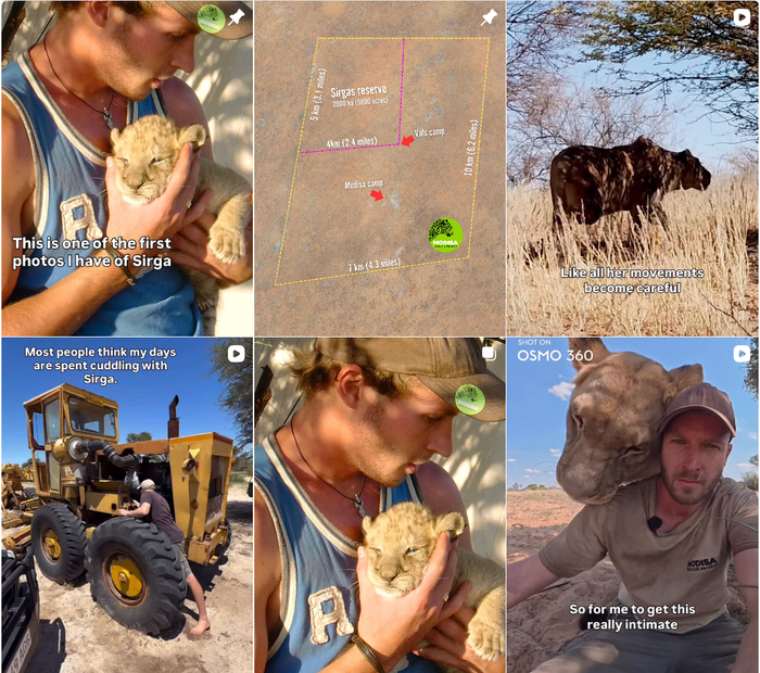 Ну я только кусочек! Маленький! Чё ты жмотишься?