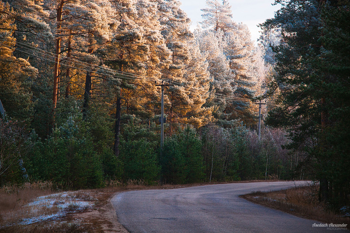 (  )                .  ,    ,     .   ,     . 