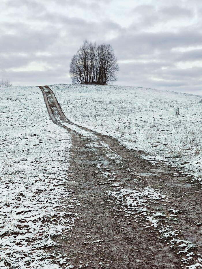 С первым снегом, Ленобласть